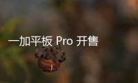 一加平板 Pro 开售：搭载最强骁龙 8 Gen3 处理器 + 12.1 英寸 3K 屏｜2799 元起